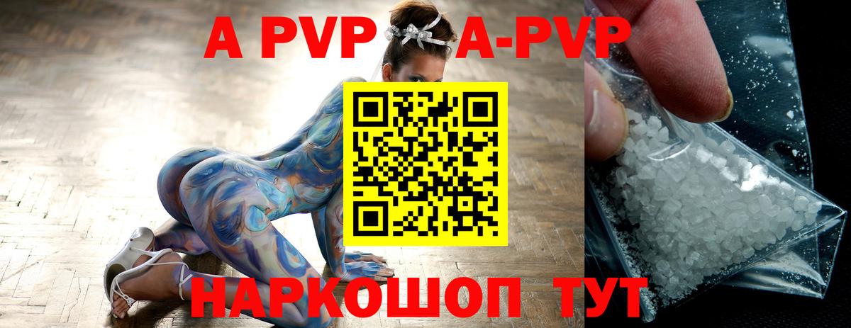 A-PVP СК Великий Новгород
