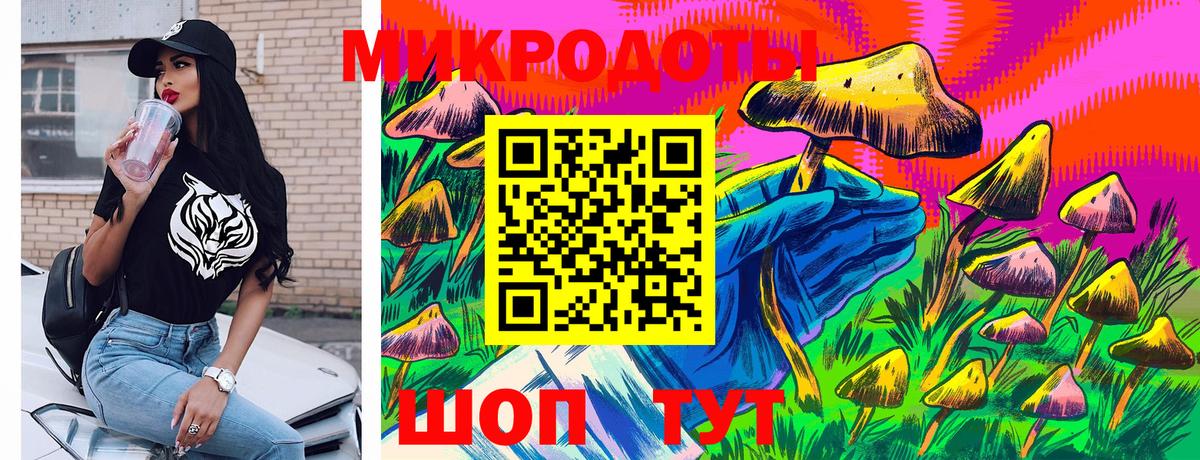 Псилоцибиновые грибы Psilocybine cubensis Великий Новгород