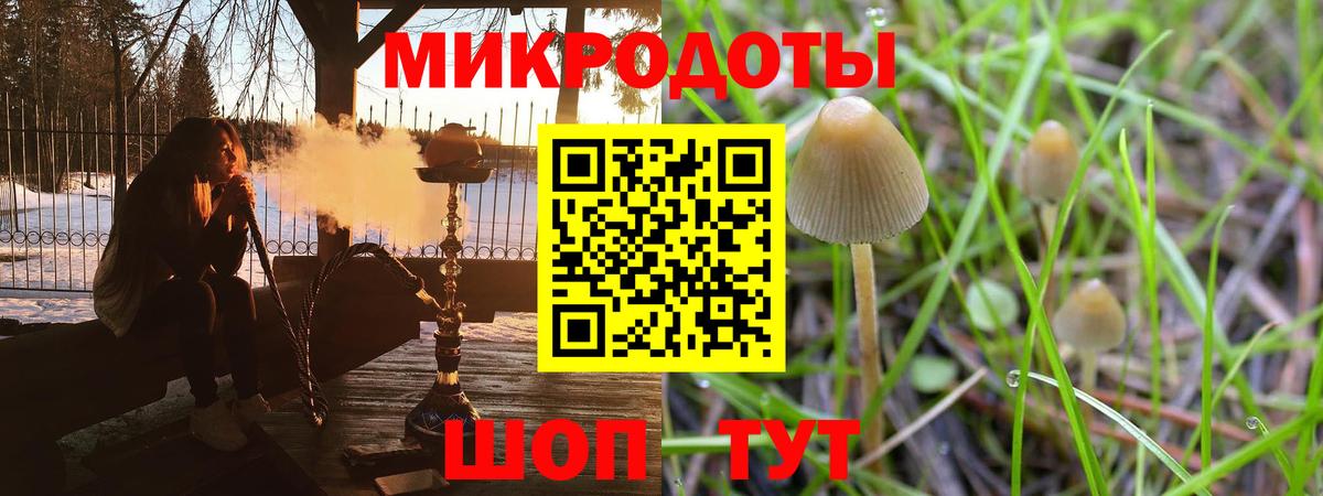 Великий Новгород  Псилоцибиновые грибы Psilocybe  дарнет шоп  Вход с VPN  Галлюциногенные грибы Cubensis 