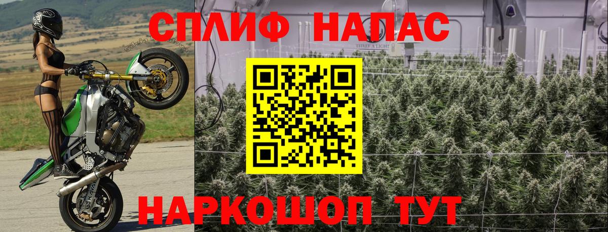 Шишки марихуана планчик Великий Новгород